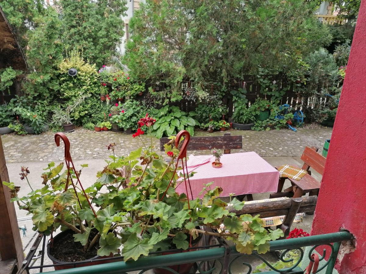 Etno Apartmani "Vlaska Kuca" Кладово Екстер'єр фото